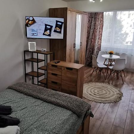 Ana Studio Apartment Targu Mures Exterior photo